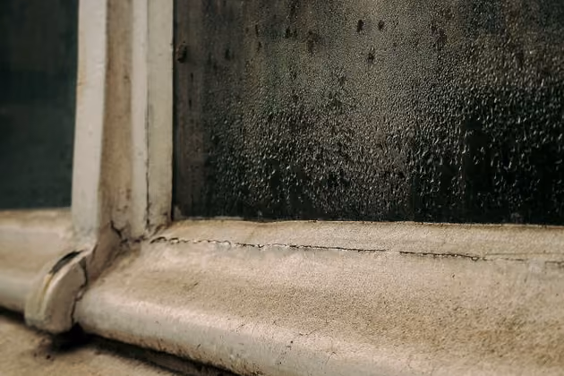 Close-up of an old, weathered window frame with condensation on the glass.